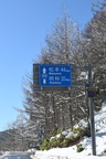 DSC 7069