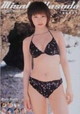 安田美沙子